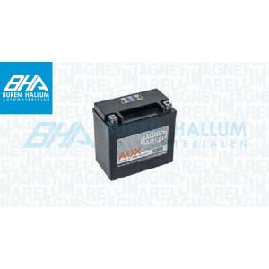https://image.tradeweb.nl/burenhallum/images/500x500/aux13l.jpg