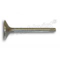inlaatklep r60-5/6/7 en r69s nu o.e.m. trw 11341256678