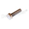koplampbout m8x30 rvs gepolijst; ook stuurklembout r51/3-67/3 63121356921