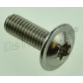 lenskopschroef m5x12 rvs 06327651211