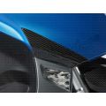 verkleidungsschutz vorne c 600 sport carbon 41540-000