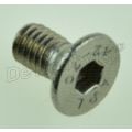schroef m6x12; rvs uitvoering 07119900816