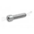inbusbout vorkpoot m8x35; rvs 07119901027