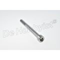 inbusbout m10x100; onze uitv.  = rvs 07119901114