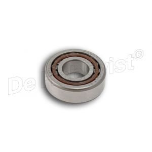 rollager <font color=