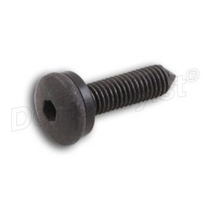 lenskopschroef + onderlegring <font color=