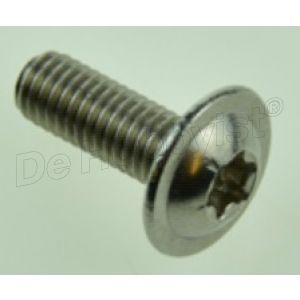 lenskopschroef m5x12 rvs <font color=