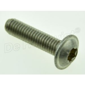 schroef m6x25 rvs <font color=