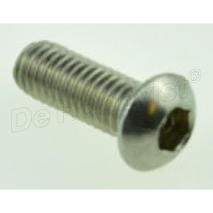cilinderschroef m6x16; rvs; <font color=