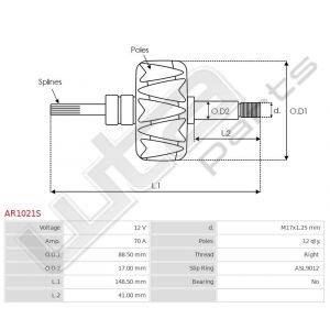 Rotor