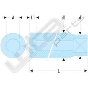 Facom doppen 3/8 12 kant 1